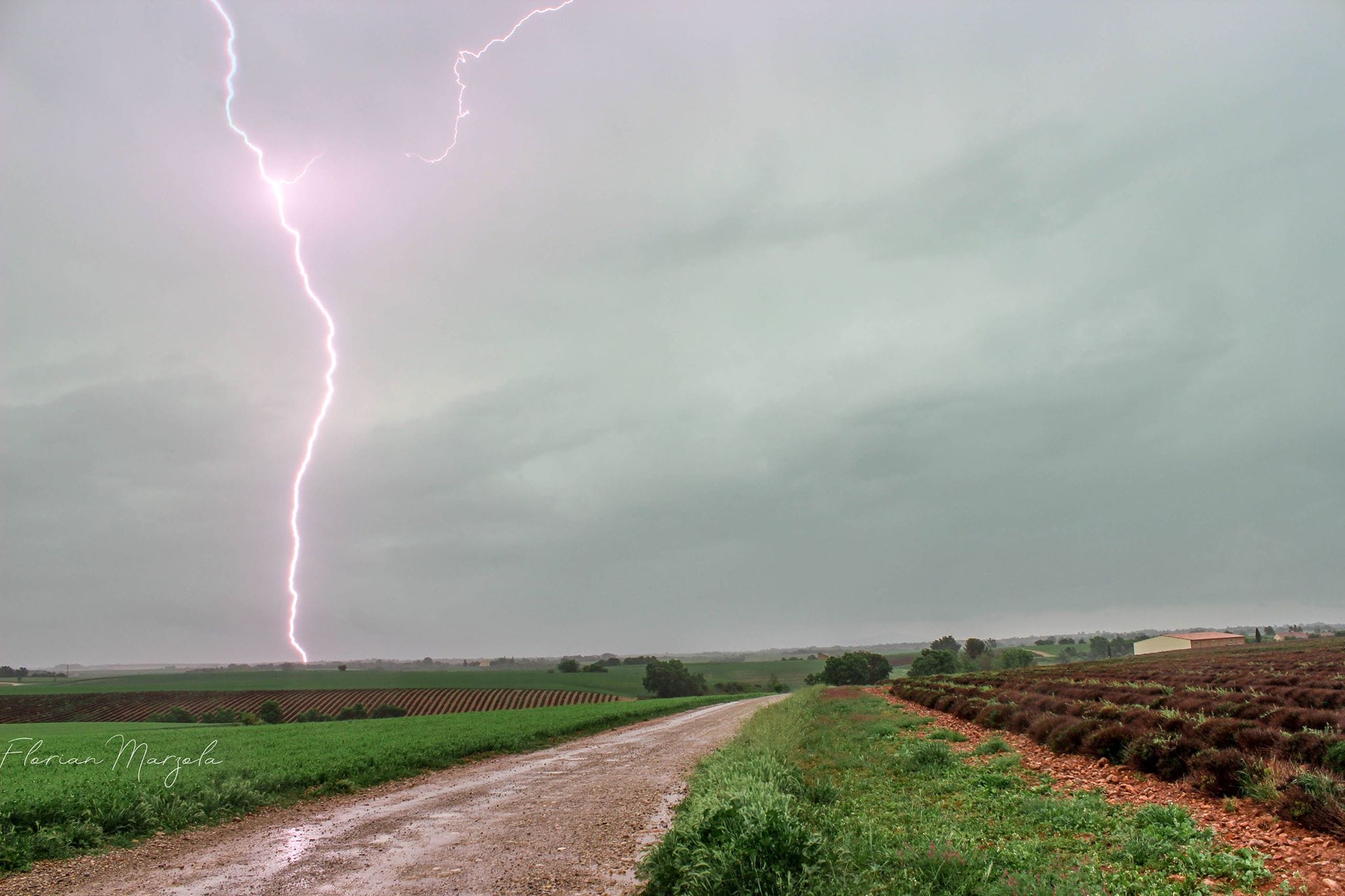 Positif capturé sur le plateau de Valensole (04). - 07/05/2018 17:20 - Florian MARZOLA