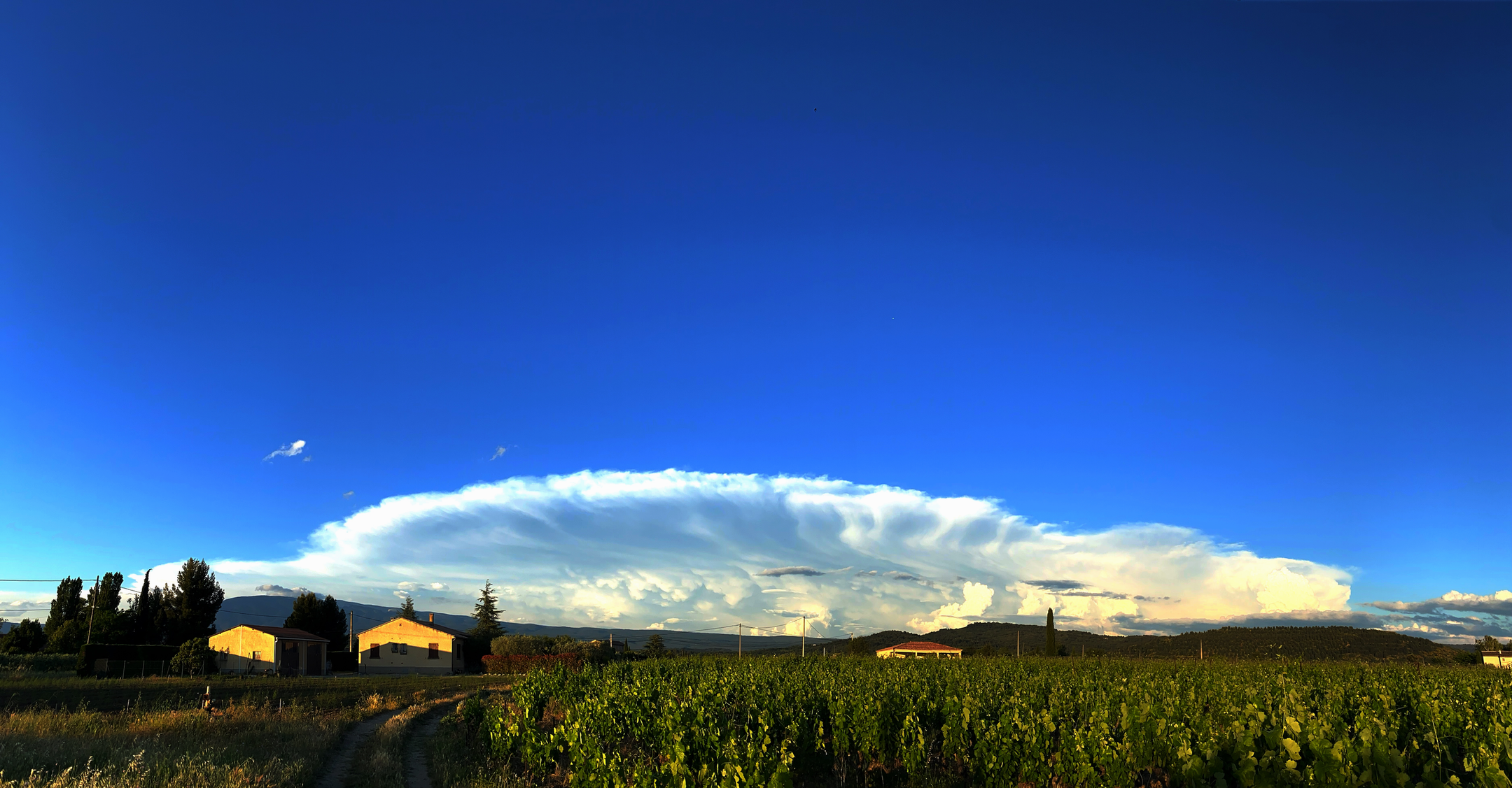 Enclume esthétique et volumineuse avec une formation de mammatus, sur les Alpes-de-Haute-Provence, lors d'un orage sur le secteur de Digne-les-Bains. Vue depuis le Vaucluse (Mazan). - 08/06/2021 20:15 - Vincent Bourreux