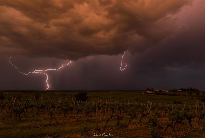 Du coté de Saint Christol dans l’Hérault - 09/05/2018 22:00 - Albert Sanchez