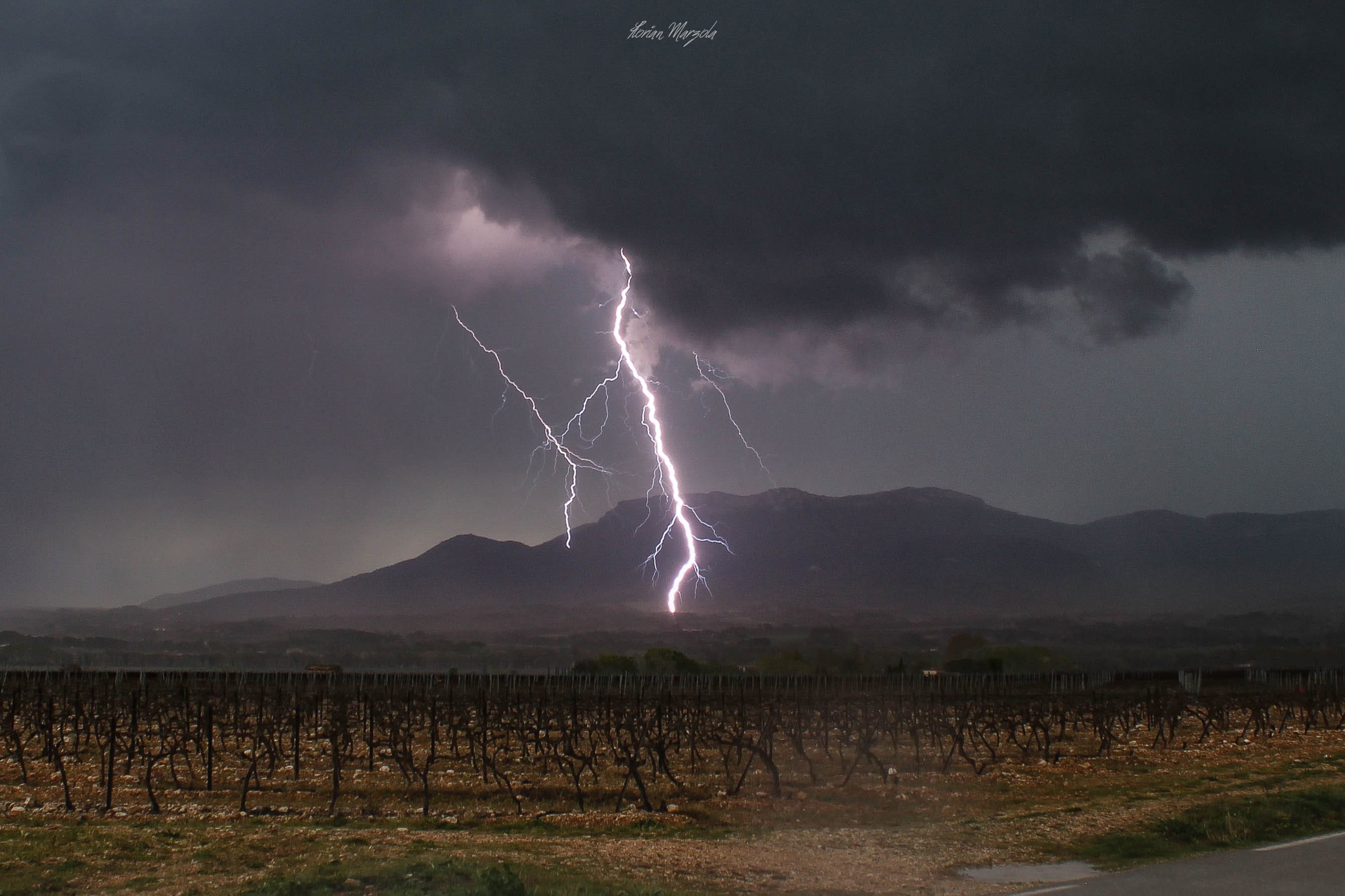 Magnifique premier jour de chasse de la saison en région PACA. Il aura fallu attendre la fin d'après-midi pour voir les premiers orages naître sur l'Est des Bouches du Rhône, en lien avec un puissant système transitant dans le Var.

Coup de chance pour ma part, la ligne orageuse s'est arrêtée juste devant moi et a stationné. Le spectacle a donc duré plus d'une heure jusqu'à ce que la strati ravale tout à l'avant. 
Voilà un double ramifié dans le secteur de Trets (13), depuis Puyloubier. - 10/04/2019 18:15 - Florian MARZOLA