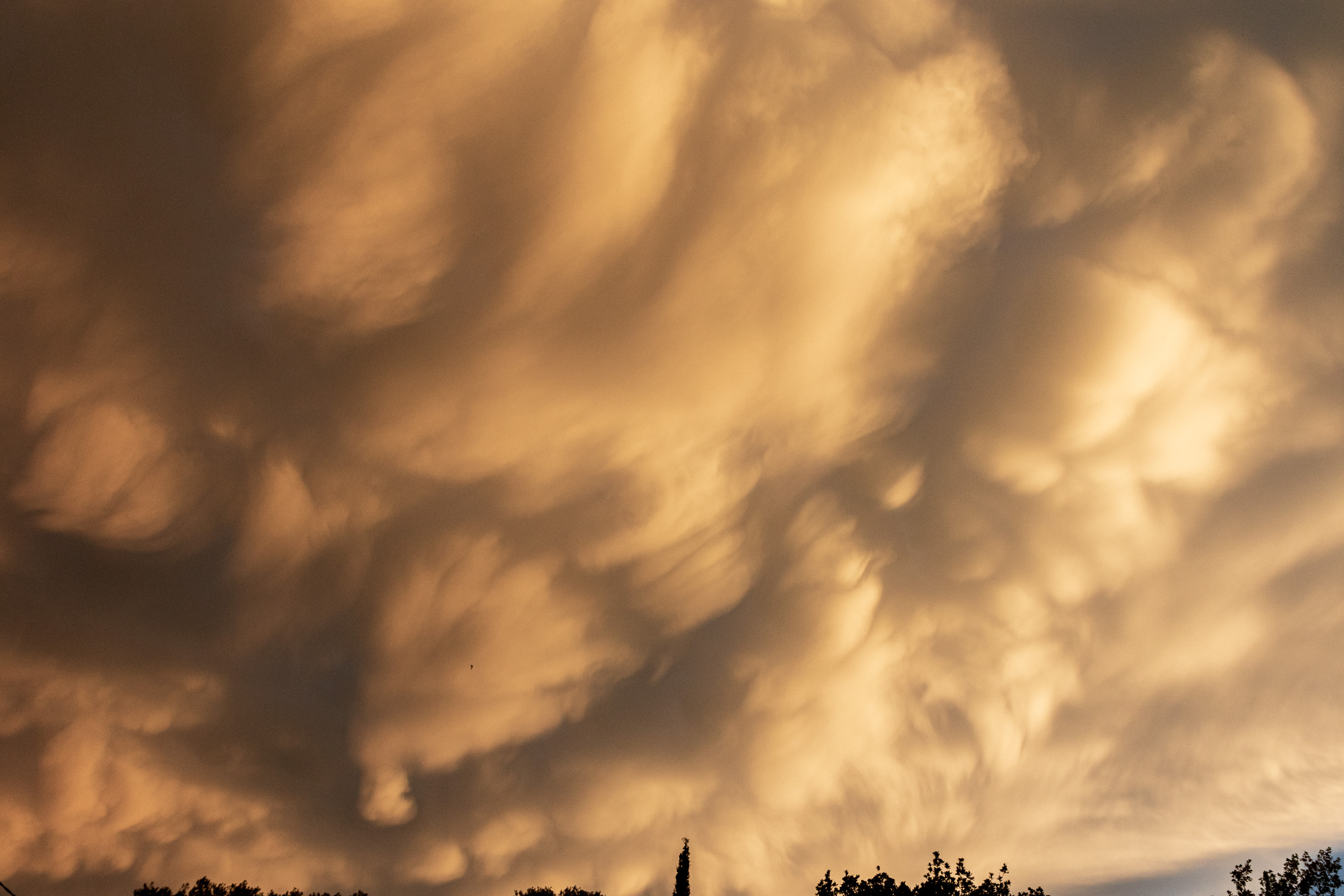 Entre une formation nuageuse au large de Cannes et une dans le Var, le ciel au dessus de la région grassoise s'est couvert de magnifique Mamatus aux allures parfois inquiétantes. Hélas toujours pas de pluie ce 14 août - 14/08/2022 20:11 - laurent guillem