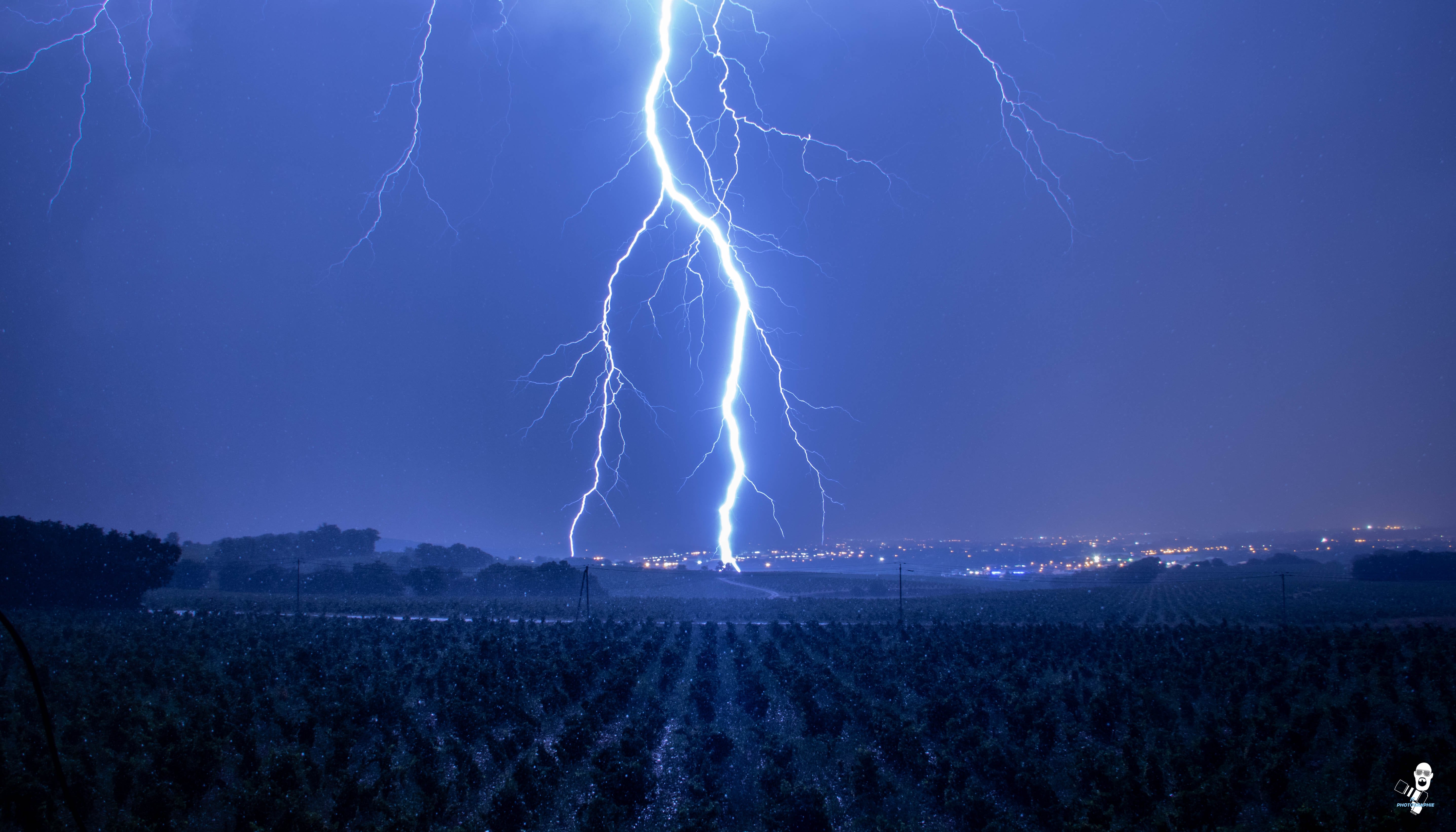 Un ramifié sur les hauteurs de Châteauneuf du pape dans le Vaucluse - 19/09/2020 00:30 - jean christophe aubert