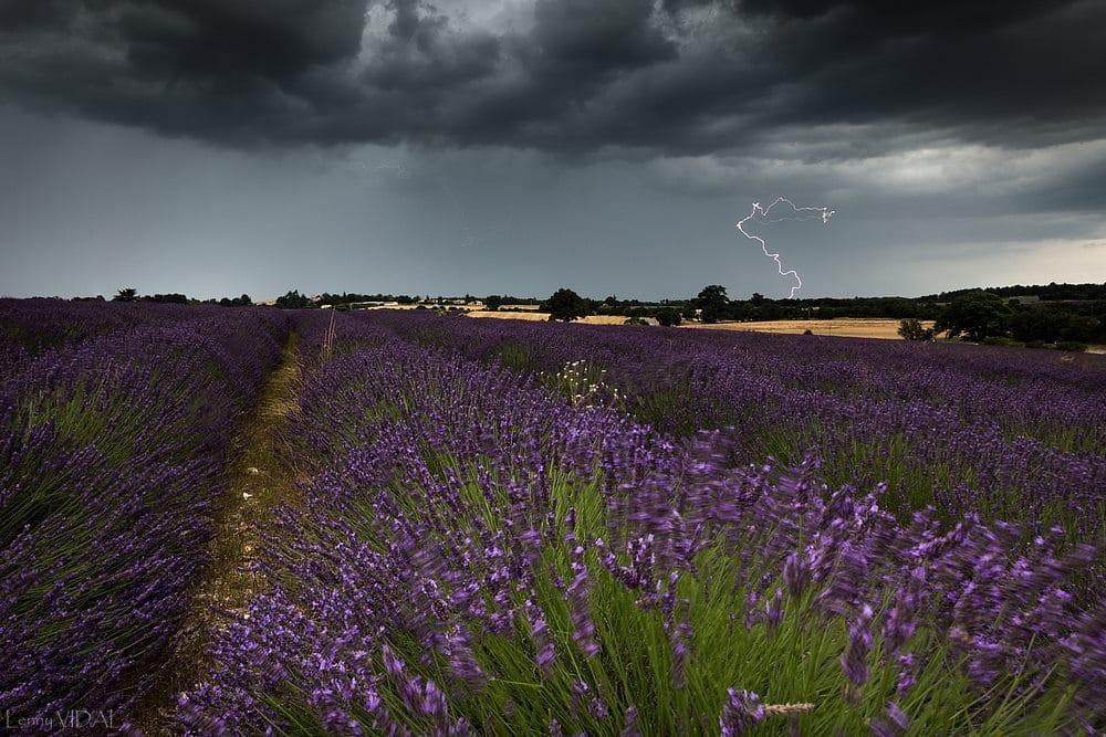 Evolution diurne hier après midi à la frontière du Vaucluse et des Alpes de Haute Provence, vers Banon - 24/07/2016 20:15 - Lenny Vidal