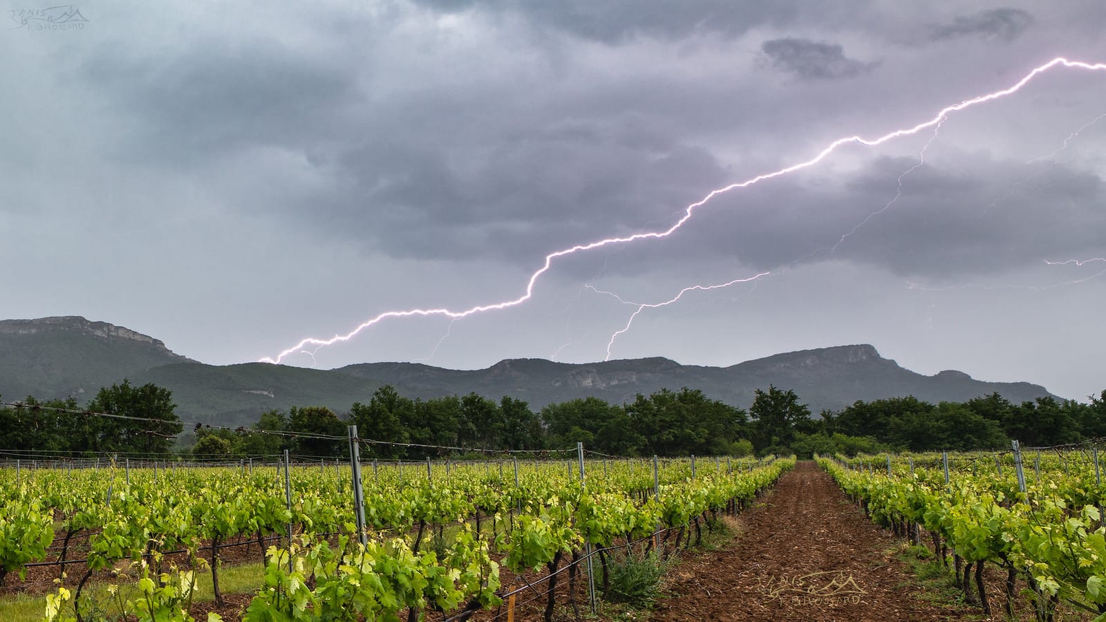 Enfin un peu d'agitations électriques , il est vrai qu'en tant que passionné cela devenait difficile d'attendre que les éléments se déchaînent en se basant que ce début d'année 2019 soit en dessous des valeurs moyennes .. mais ouf chose faite.. la saison repart ! 
Dans un premier temps vers Manosque(04) puis à Pourrière(83)  pour le coup de grâce de l'orage avec cet éclair en diagonale .. - 25/05/2019 17:20 - janis brossard