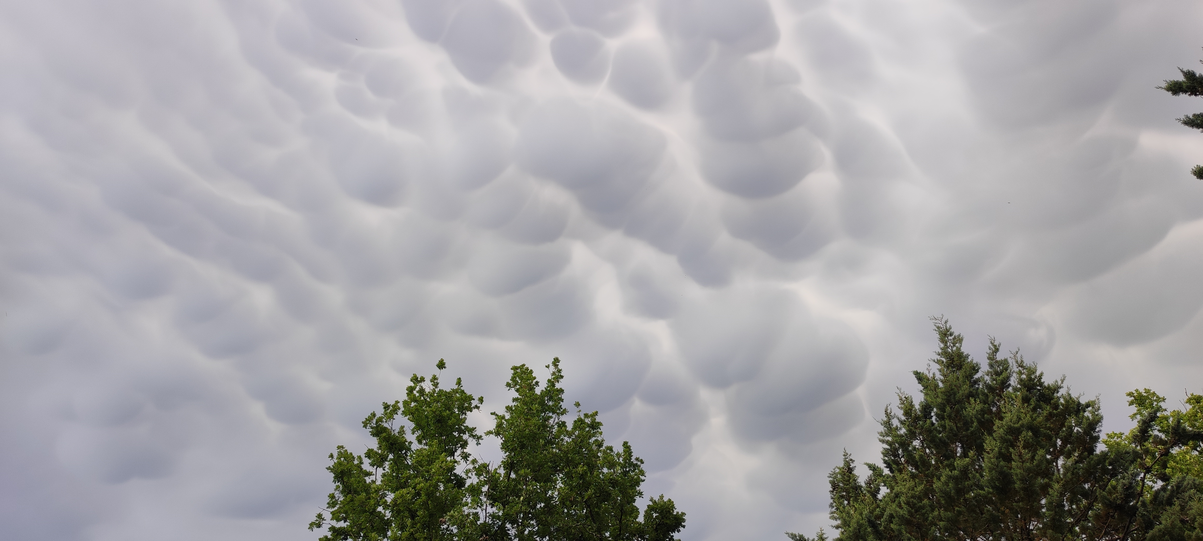 Mamatus au dessous de Montauroux,var - 28/05/2026 17:00 - Didier Delahaye