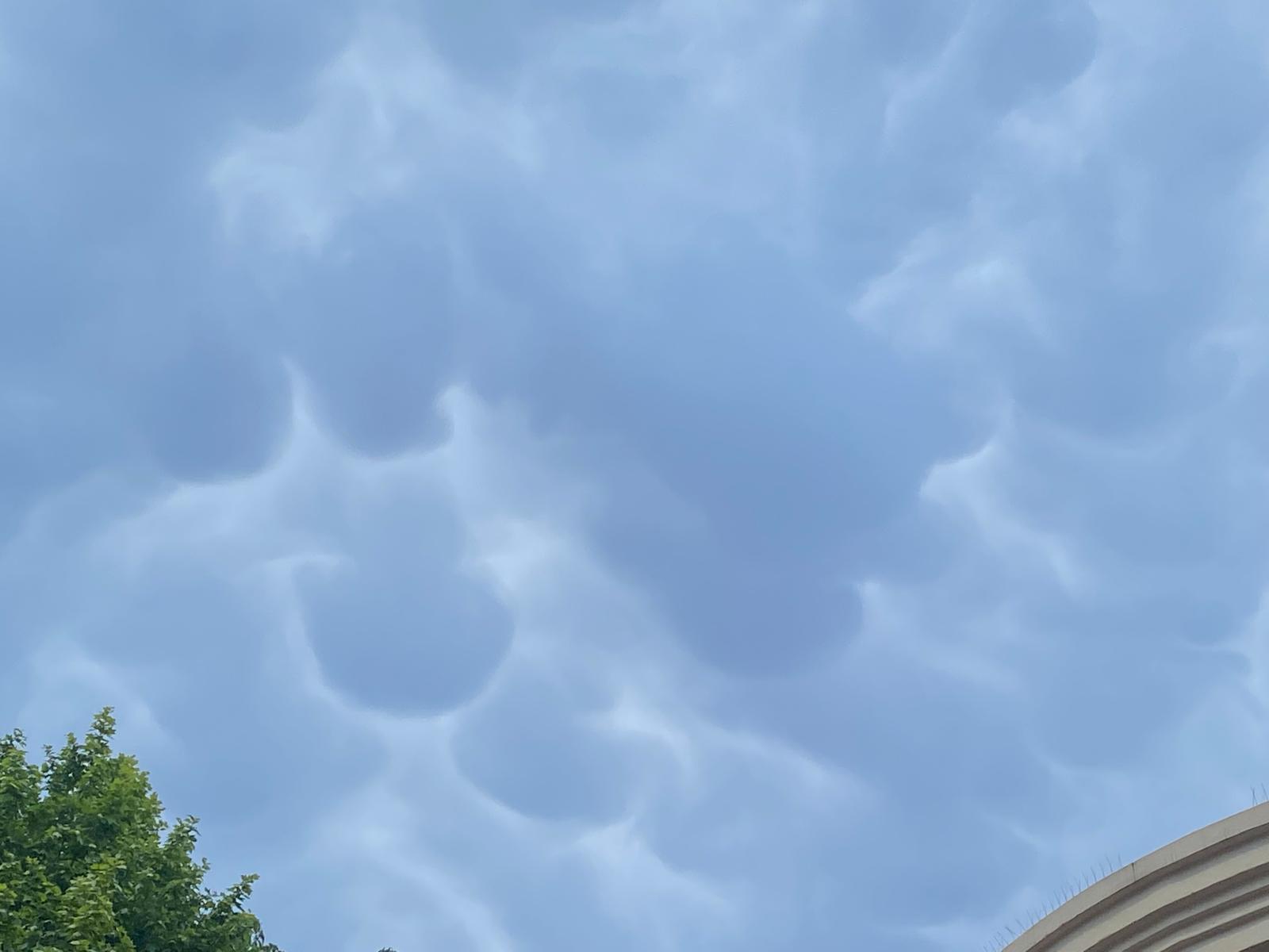 Mammatus à Cannes - 29/05/2025 15:30 - Julien Rogano