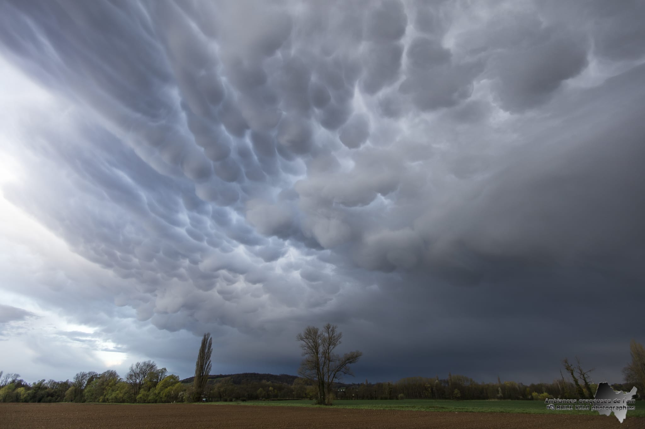 Superbes mammatus au lever du jour ce matin dans l'Ain - 12/04/2018 07:29 - brice volo