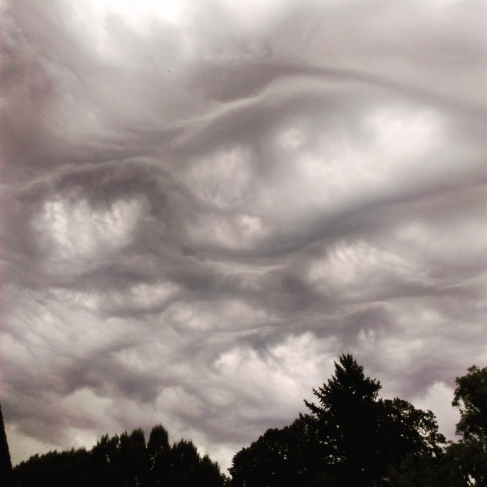 Bel asperatus ce 30/07 au dessus de La Buisse (38) - 30/07/2016 13:00 - Djé Djé