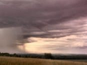 Un tuba a été observé le 11 juin 2010 sur la commune d'Antogny-le-Tillac (Indre-et-Loire), à 16h50 locales. Le phénomène, d'une durée de quelques minutes, a pu être photographié par un témoin. - 11/06/2010 16:50 - Steven BOUTIN