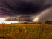 Arcus avant la supercellule sur Campigny (27 Eure) - 19/07/2014 17:20 - rudy christen