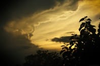 Colonne d'un cumulonimbus éclairé par la lumière dorée du soir. Le nuage est au dessus du Sundgau (sud du Haut-Rhin) tandis que la photo a été réalisée à Village-Neuf (Haut-Rhin) - 08/08/2014 19:56 - Philippe Meisburger