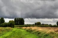 tuba que j'ai observé cet après midi du 22/08/14 à Strazeele (59) secteur Hazebrouck/Bailleul ) vers 16H00. Phénomène tourbillonnaire qui a duré environ 7/8 minutes qui s'est déplacé d'Est en Ouest 

Ce tuba s'est formé juste après le passage d'un front orageux pluvieux.  - 22/08/2014 15:22 - jean-marc dhainaut