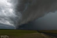 A proximité de Maisons en Champagne (51) - 16/09/2015 17:35 - Daniel lafon