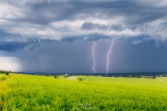 Orages particulièrement pluvieux et grêligènes hier soir entre la région de Strasbourg (67) et Phalsbourg (57). Cette orage n'aura gagné que 10 km sur toute sa vie ce qui montre vraiment le caractère peu mobile de la situation d'hier. Il lâchera des impacts positifs et négatifs toutes les minutes sans compter les intra et internuageux. - 07/06/2016 20:07 - Alexandre NICOLEE