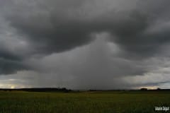 Averse orageuse au dessus de la forêt de Bois l’Évêque et Le Pommereuil pris hier en fin d’après-midi - 16/06/2016 20:24 - Sébastien DALIGAULT