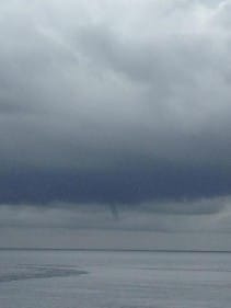 Une très probable trombe marine a été observée au large immédiat de Miomo, commune de Santa-Maria-di-Lota, en Haute-Corse, le 1er octobre 2012. Le phénomène, d'une durée estimée à 3 minutes, est survenu vers 12h locales. Dans la mesure où le buisson n'est pas identifiable sur le cliché, le phénomène est classé en liste 2. - 01/10/2012 12:00 - Dominique TISON