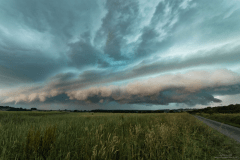 Les premières supercellules dans le Nord on passé la frontière franco-belge sous forme de bow echo le 23 juin. Un orage aussi agressif qu'impressionnant : il fut en mesure d'abattre des arbres et des lignes électriques, et d'inonder de nombreuses vallées entre Charleroi et le Parc de l'Avesnois. - 23/06/2016 23:00 - Lucas ADLER