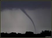 Une trombe marine a été observée le 13 février 2010 au large de Borgo (Haute-Corse), vers 17h locales. Elle s'est formée sous une cellule convective faiblement orageuse, au sein d'une masse d'air très médiocrement instable. - 13/02/2010 17:00 - J CARLOTTI