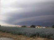 Arcus bien structuré à Chapelle-Basse-Mer (Loire-Atlantique) - 22/08/2011 18:00 - (c) TANATIEL