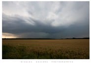 Une probable supercellule se développe vers 14h30 TU en Côte d'Or, dans la région de Bessey-lès-Citeaux. Ce cas, communiqué et photographié par Nicolas GASCARD, présente un nuage-mur resserré et une structure manifestement dominée par les courants descendants, notamment arrière. Les éléments recueillis ne permettant pas d'attester la présence d'un mésocyclone profond durant plus d'une demi-heure, le cas est classé en liste secondaire. - 07/07/2010 16:00 - Nicolas GASCARD