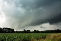 Ce système orageux quasi-linéaire a développé un arcus bien structuré, comme en témoignent ces clichés pris à 20h35 locales, depuis le secteur de Saint-Marcel, en Saône-et-Loire. On y voit la structure convective telle qu'elle se présentait à environ une vingtaine de kilomètres au sud de sa portion la plus active, à peine dix minutes avant la microrafale de Les Maillys. - 17/06/2011 20:35 - L JOUANDANNE