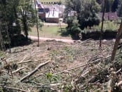 Dommages consécutifs à une très violente microrafale sur la commune de Daigny (Ardennes). Aucun arbre n'a été épargné dans une zone large de 150 mètres et longue de 500 mètres environ. Les abords de cette zone frappée sont intacts - 14/07/2010 16:30 - Laurent LE MEN
