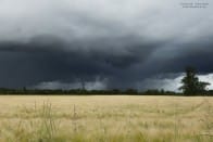 Un gustnado a été observé le 12 juin 2012 dans l'après-midi entre Parcey et Mont-sous-Vaudrey dans le département du Jura. Ce dernier s'est formé à l'interface entre le courant ascendant et la ligne de convergence des vents en surface. Le vortex fut assez rapide, le phénomène ayant duré près d'une minute. - 12/06/2012 16:30 - Nicolas GASCARD