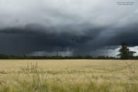 Un gustnado a été observé le 12 juin 2012 dans l'après-midi entre Parcey et Mont-sous-Vaudrey dans le département du Jura. Ce dernier s'est formé à l'interface entre le courant ascendant et la ligne de convergence des vents en surface. Le vortex fut assez rapide, le phénomène ayant duré près d'une minute. - 12/06/2012 16:30 - Nicolas GASCARD