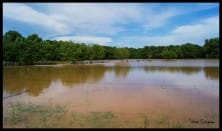 Au lendemain de la fin de l'épisode méditerranéen qui a touché le Var, le Plan de La Garde a été touché par les inondations. C'est un zone inondable, mais c'est assez rare de voir un tel débordement. Ce grand lac est en fait, à la base, un champ..  - 19/05/2013 17:02 - Hervé Dermoune