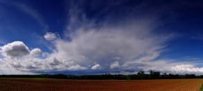 Enclume au sud de Soissons le 23/05/2013 - 23/05/2013 16:00 - David Fotosnature