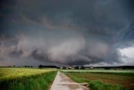 A 15h55, un violent orage débarqua à Bardonnex, tout au sud-ouest de la Suisse, dans le canton de Genève. A 16h10, soit 15 minutes plus tard, l'orage se situait à proximité de Divonne-les-Bains (01), à une vingtaine de kilomètres au NE de Genève. La 1ere image illustre l'orage situé à Chéserex (Suisse-VD), 1,5km de distance de Divonne. D'importantes chutes de grêle se produisirent ensuite sur le site. Après l'orage, je redescends sur Divonne-Crassy et voici l'illustration des dégats vus sur les photos 2 et 3. Le fait marquant résulte dans la localisation des dégats. En effet, on remarque une concentration géographique des dégats sur un couloir large de 200-300m et sur 1-2km de long. Je me demande ce que cela a pû etre : une micro-rafale descendante, ou alors une tornade (chez un particulier situé au Chemin de l'étang a eu 2 arbres déracinés ainsi que plusieurs tuiles envolées. La 3ieme photo illustrant la série d'arbres ayant leurs branches cassées se situe non loin de ce particulier. - 20/06/2013 16:20 - Guillaume BOLAY