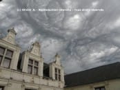 Asperatus dans la vienne le 17.08.11 - 17/08/2011 11:00 - OLIVIER JARRY-LACOMBE