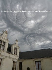 Asperatus dans la vienne le 17.08.11 - 17/08/2011 11:00 - OLIVIER JARRY-LACOMBE