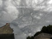 Asperatus dans la vienne le 17.08.11 - 17/08/2011 11:00 - OLIVIER JARRY-LACOMBE