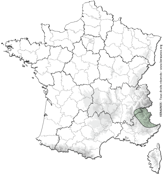 Carte de probabilité d'activité de foudre intense