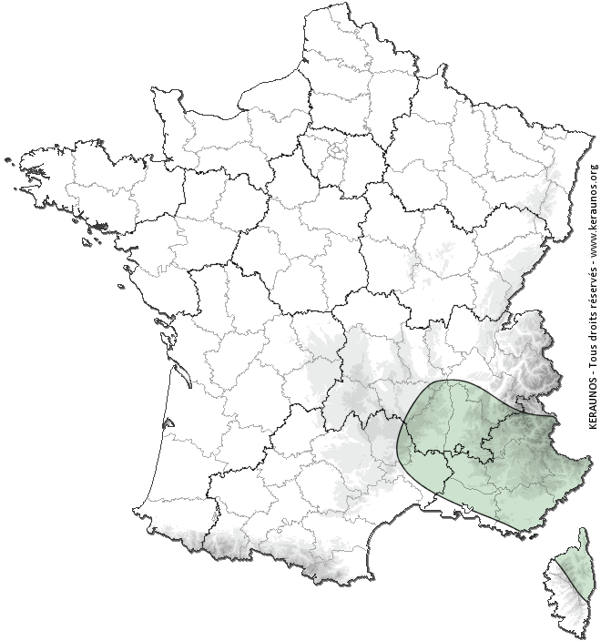 Carte de probabilité d'activité de foudre intense
