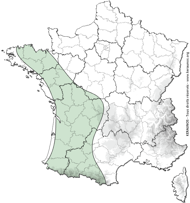 Carte de probabilité d'activité de foudre intense