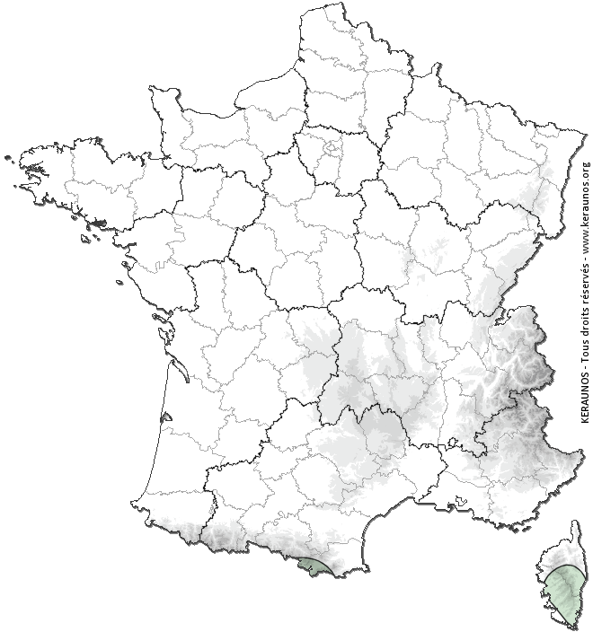 Carte de probabilité d'activité de foudre intense
