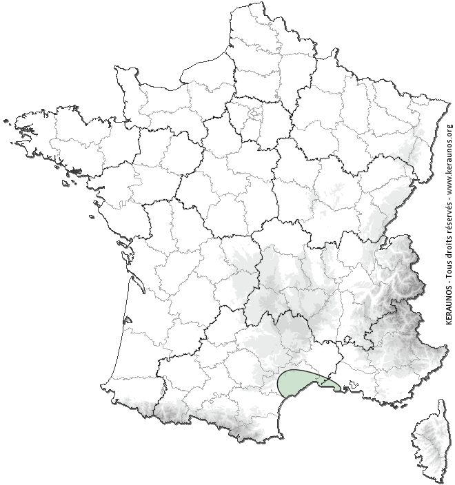 Carte de probabilité d'activité de foudre intense