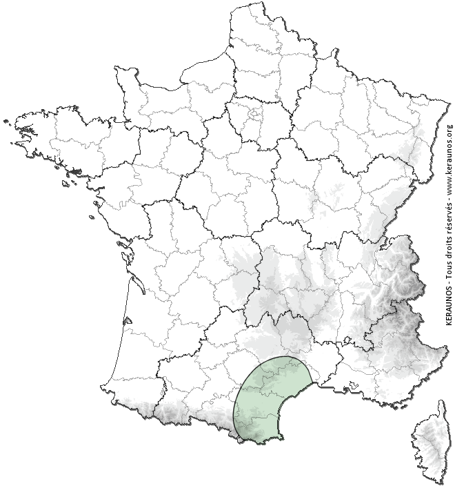 Carte de probabilité d'activité de foudre intense