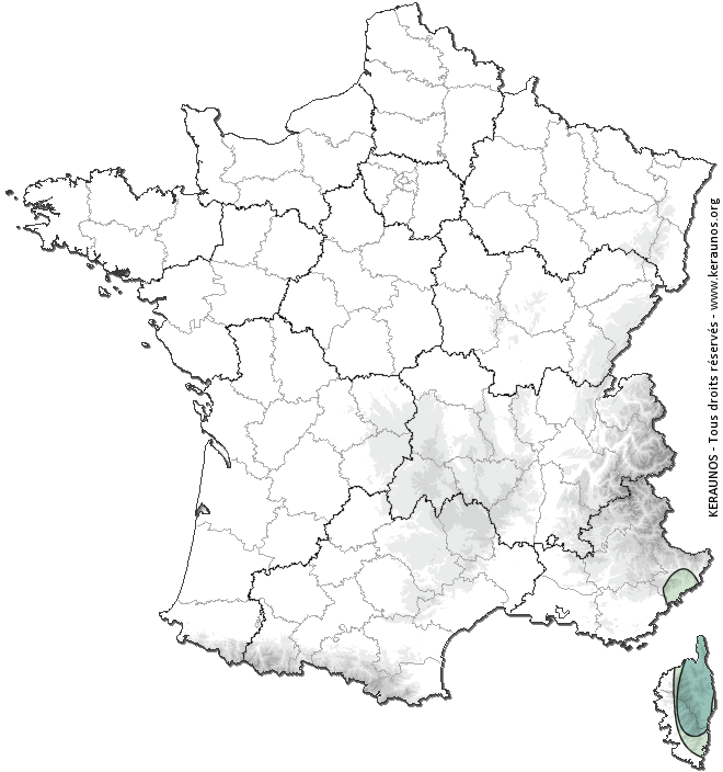 Carte de probabilité d'activité de foudre intense