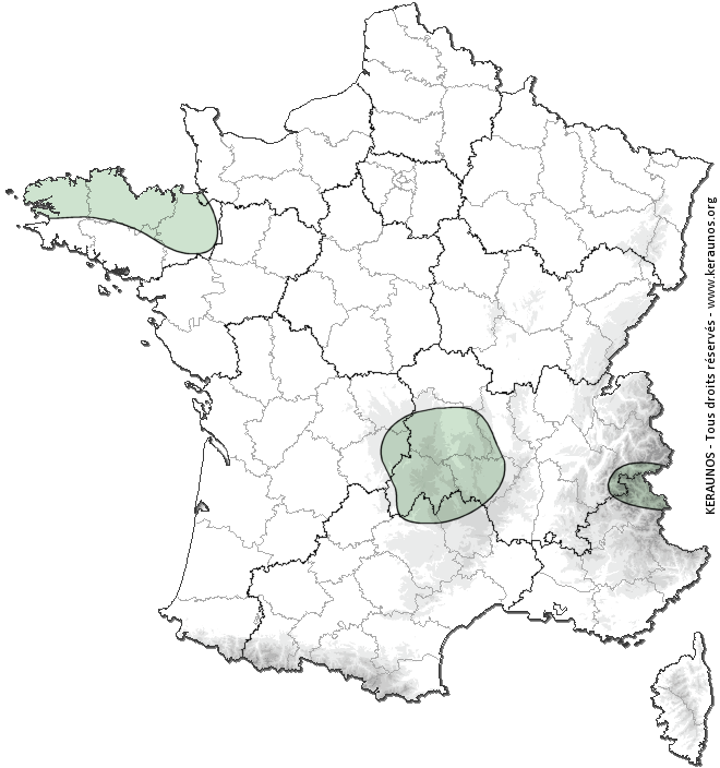Carte de probabilité d'activité de foudre intense