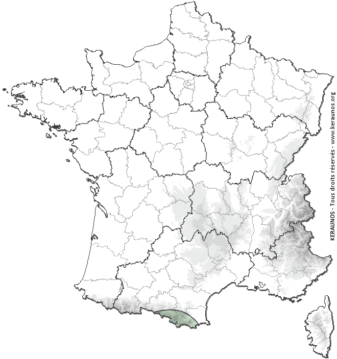 Carte de probabilité d'activité de foudre intense