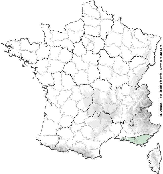 Carte de probabilité de grêle violente