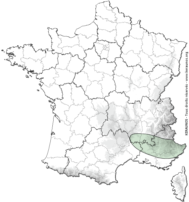 Carte de probabilité d'orage