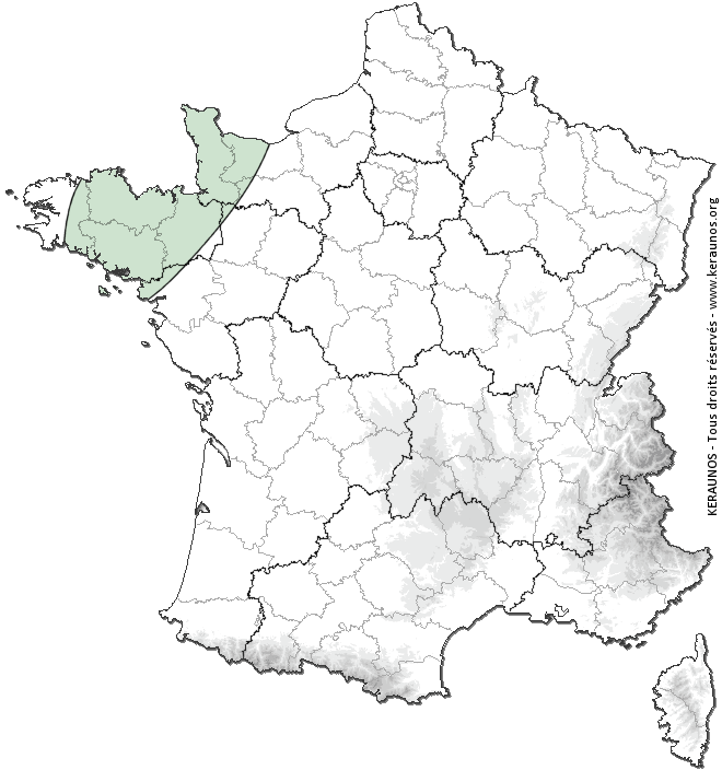 Carte de probabilité d'orage