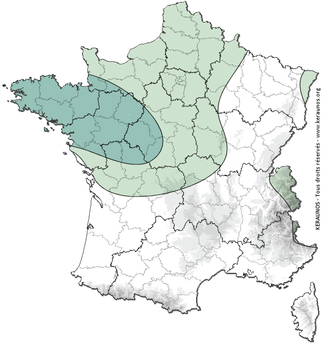 Carte de probabilité d'orage