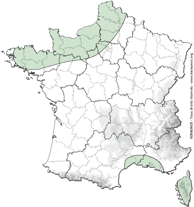 Carte de probabilité d'orage