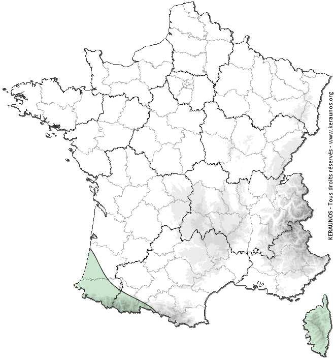 Carte de probabilité d'orage