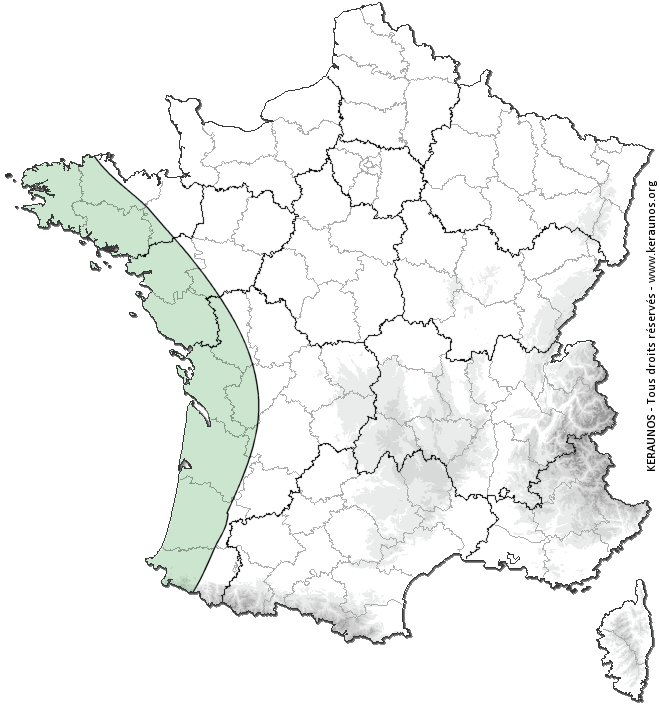 Carte de probabilité d'orage